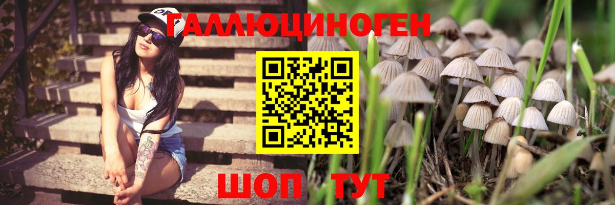 Муром  Галлюциногенные грибы MAGIC MUSHROOMS  Вход с VPN 